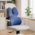 Foam Lumbar Support Cushion for Office Chair, Home and Desk Chair Back Support