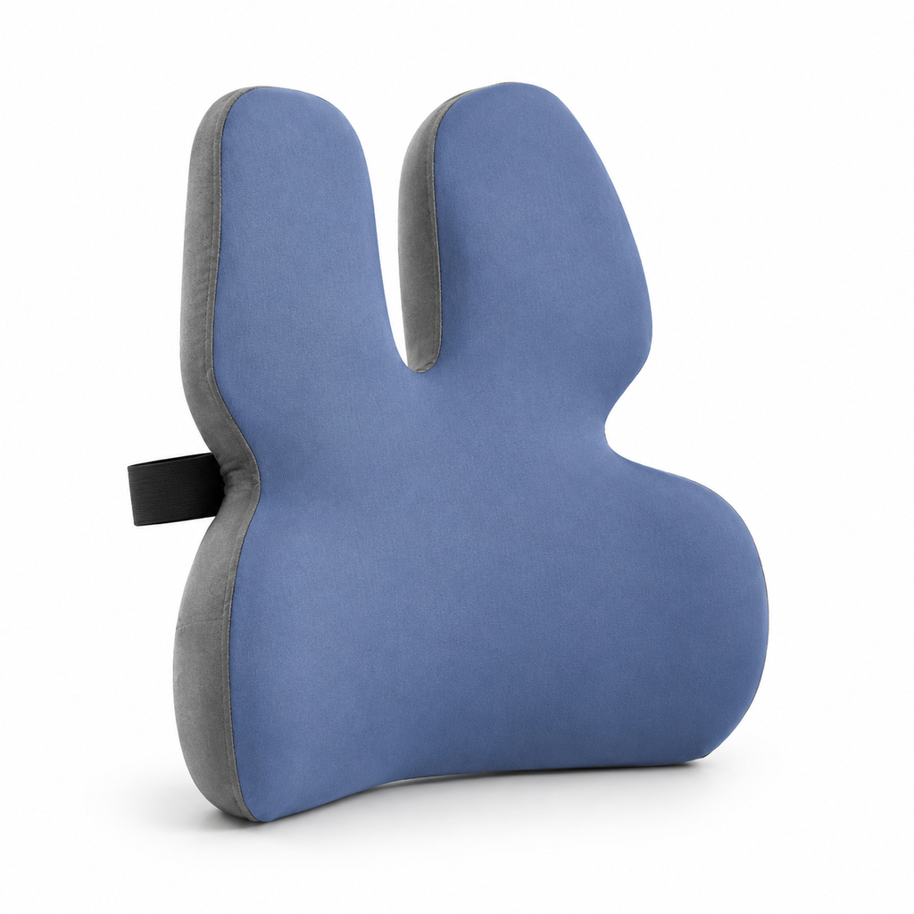 Foam Lumbar Support Cushion for Office Chair, Home and Desk Chair Back Support